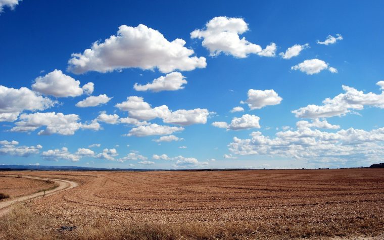 field-g5884ee380_1920
