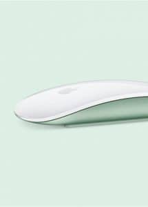 souris