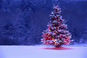 derevya-elki-novyj_god_new_year-pejzazh-prazdniki-rozhdestvo_christmas_xmas-14599