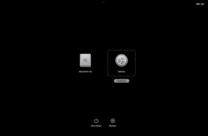 macos-tahoe-26-startup-options-recovery-continue